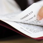 “New Life in Christ: A Transformational Journey of Faith”