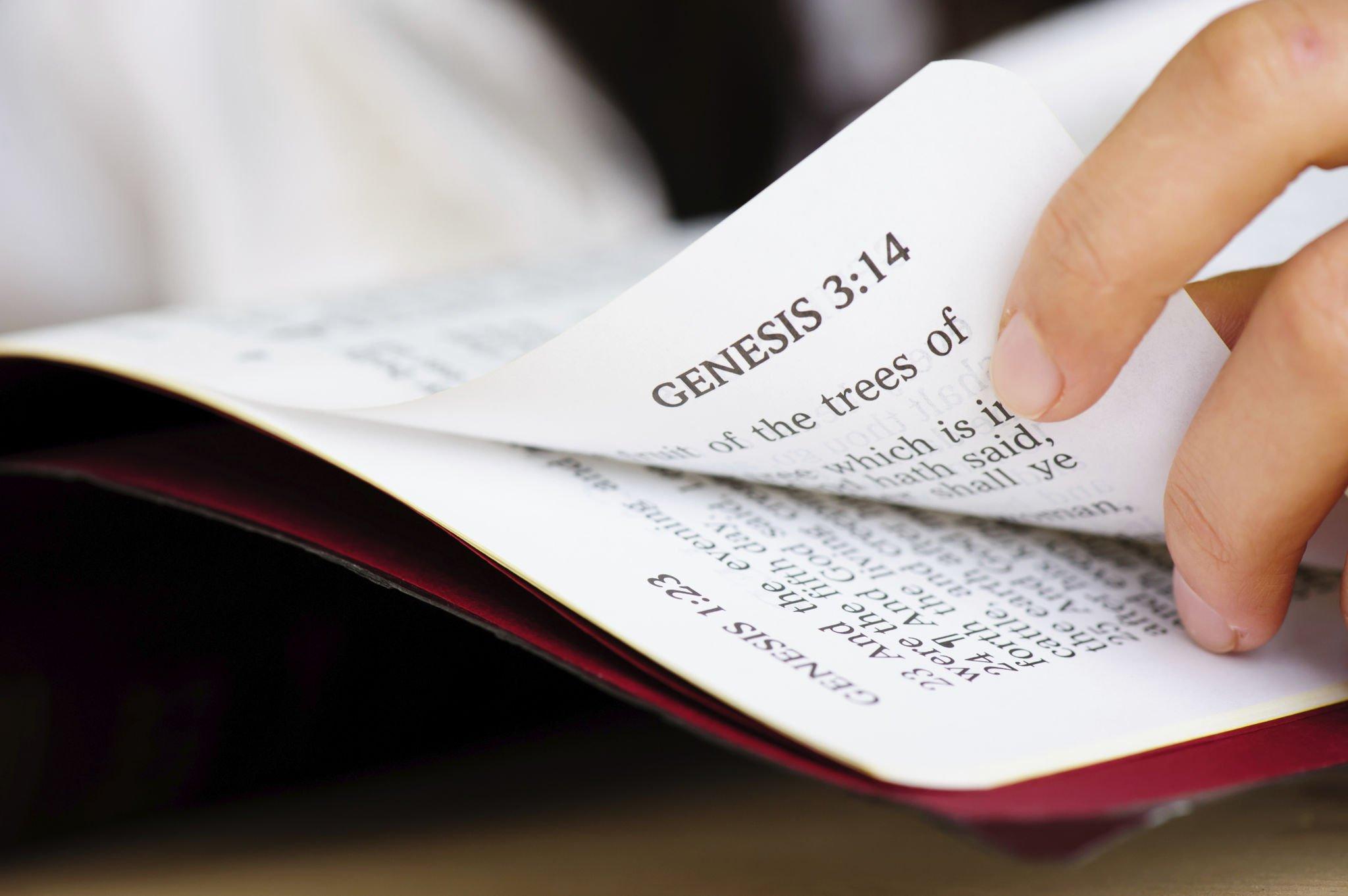 Read more about the article “New Life in Christ: A Transformational Journey of Faith”